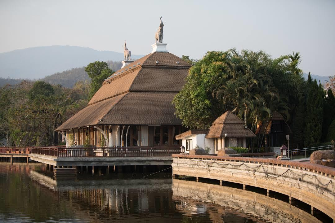 Safari nocturno de Chiang Mai